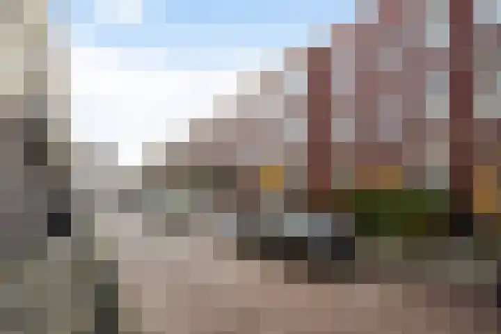 Dibbetsstraat 44 Den Haag thumbnail 6