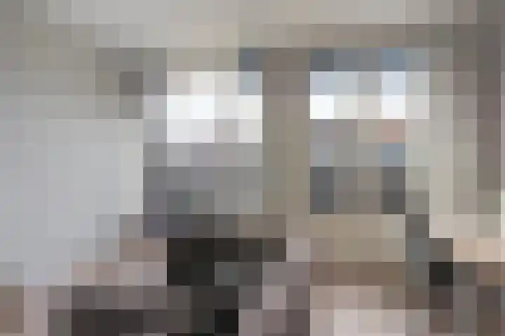 Dibbetsstraat 44 Den Haag thumbnail 61