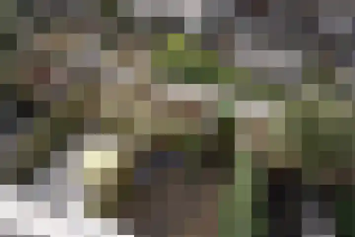 Dibbetsstraat 44 Den Haag thumbnail 64