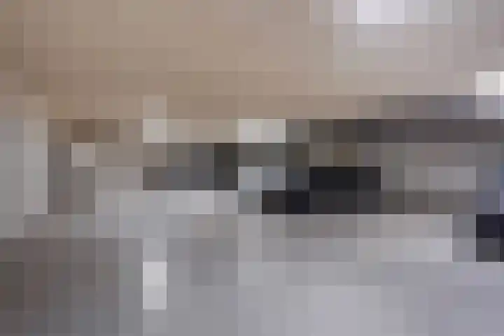 Dibbetsstraat 44 Den Haag thumbnail 66