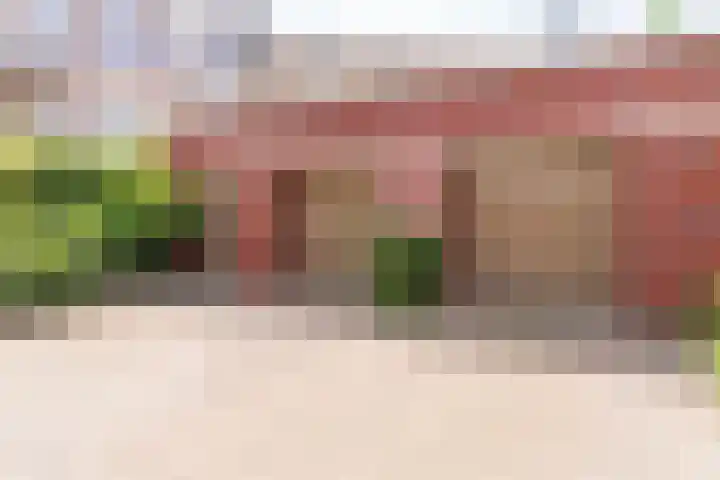 Dibbetsstraat 44 Den Haag thumbnail 68