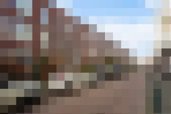 Dibbetsstraat 44 Den Haag thumbnail 7