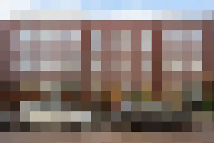 Dibbetsstraat 44 Den Haag thumbnail 8