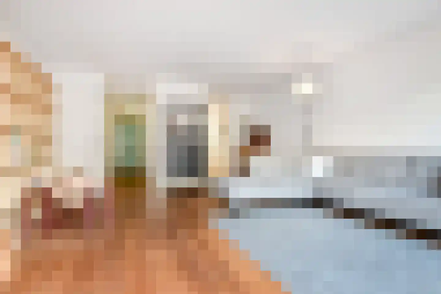 Dibbetsstraat 54 Den Haag thumbnail 11