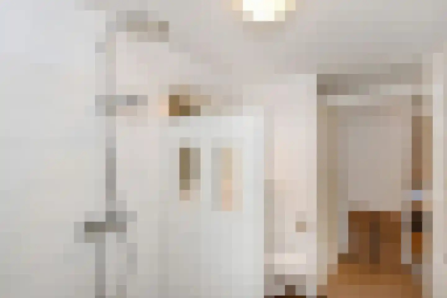 Dibbetsstraat 54 Den Haag thumbnail 21