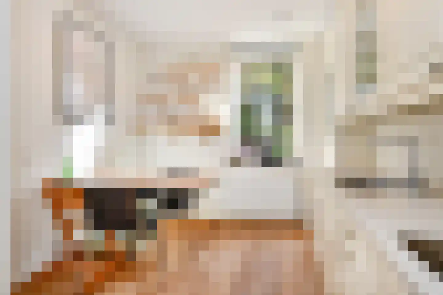 Dibbetsstraat 54 Den Haag thumbnail 4