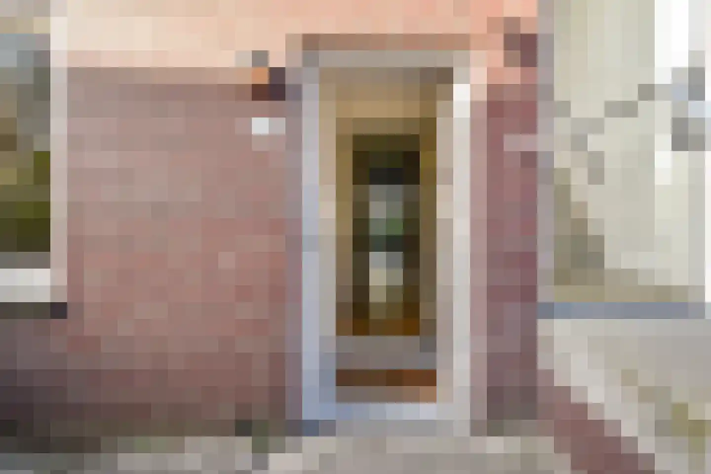 Dibbetsstraat 54 Den Haag thumbnail 6