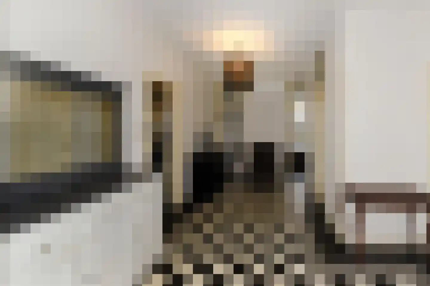 Dibbetsstraat 6 Den Haag thumbnail 10