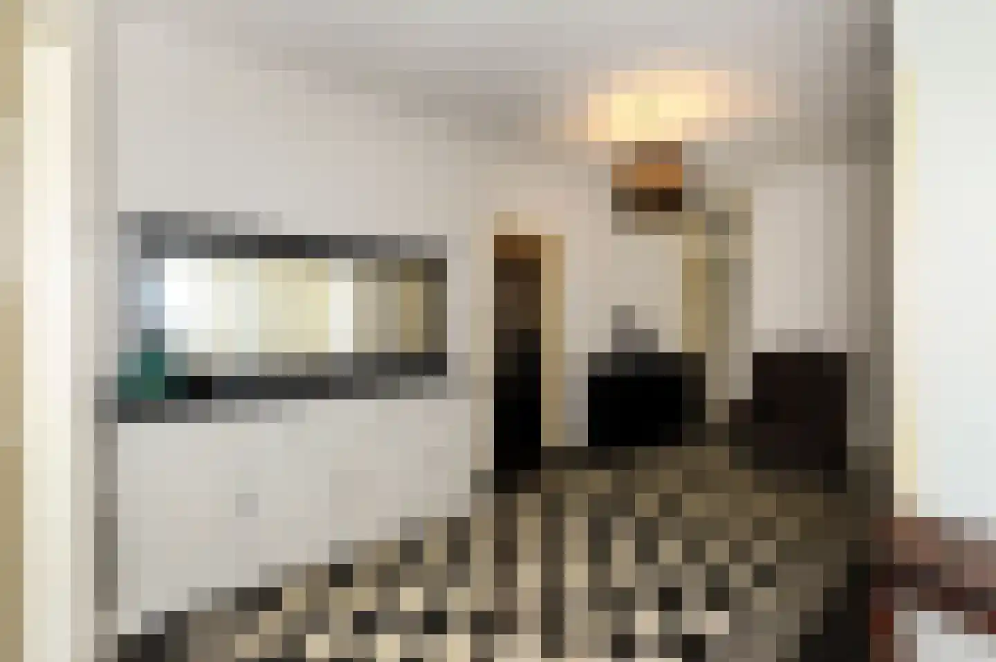 Dibbetsstraat 6 Den Haag thumbnail 11
