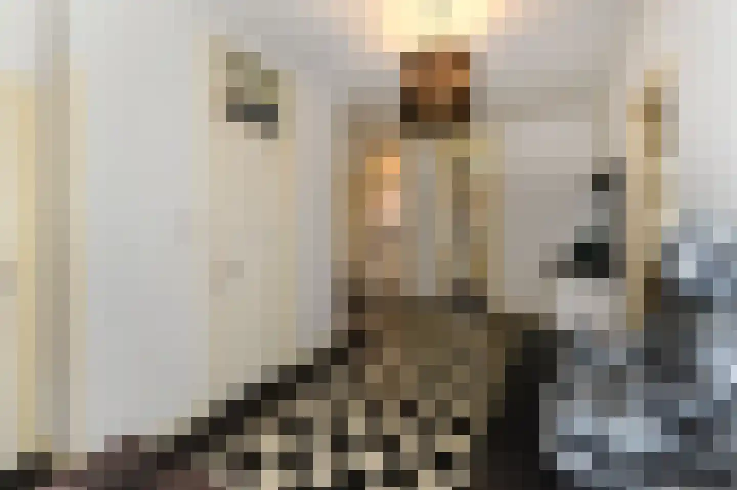 Dibbetsstraat 6 Den Haag thumbnail 12