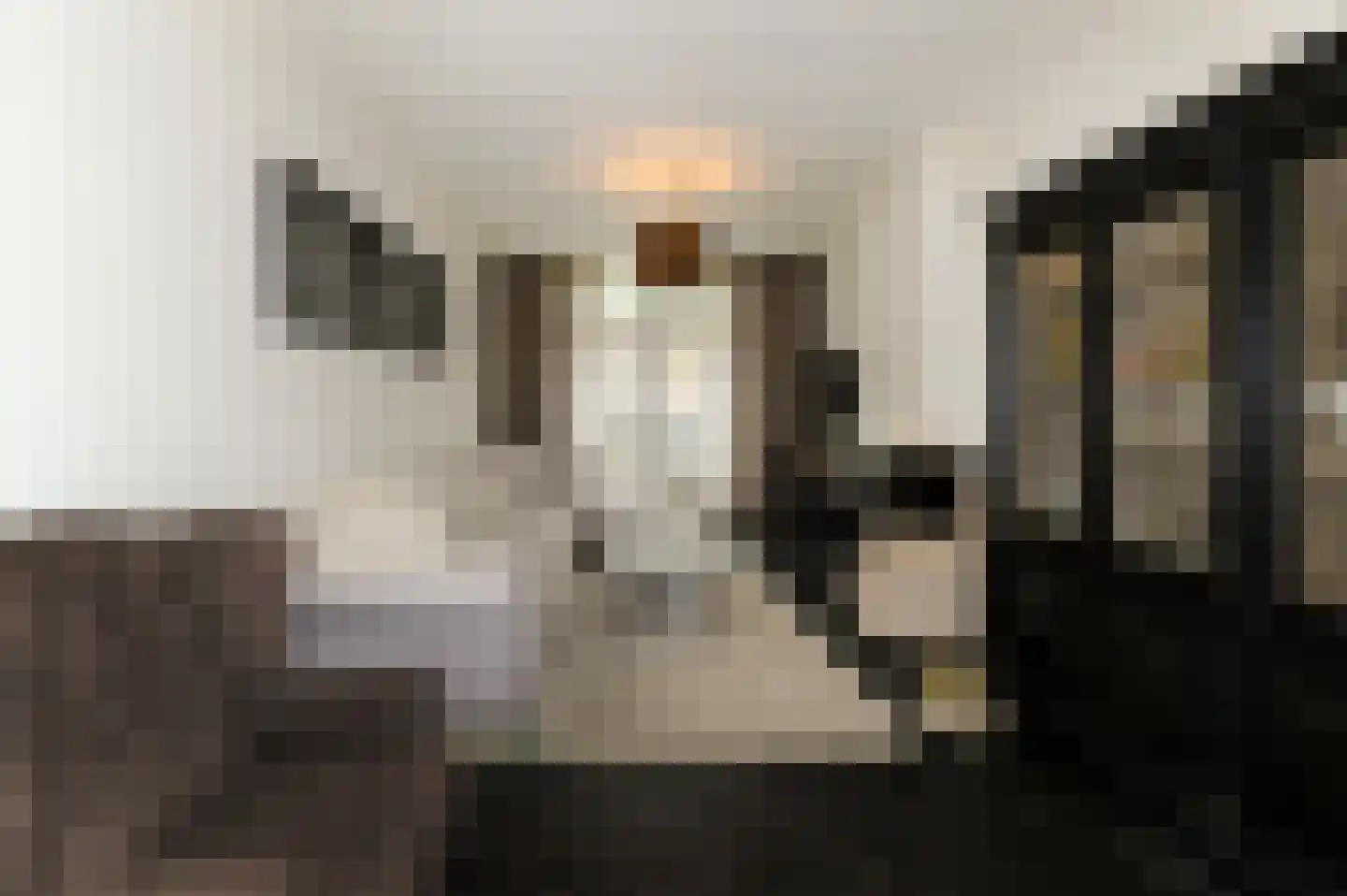 Dibbetsstraat 6 Den Haag thumbnail 18