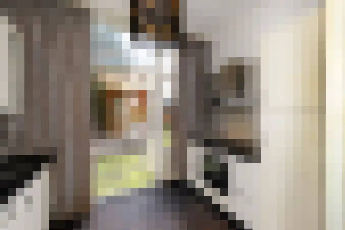 Dibbetsstraat 6 Den Haag thumbnail 22