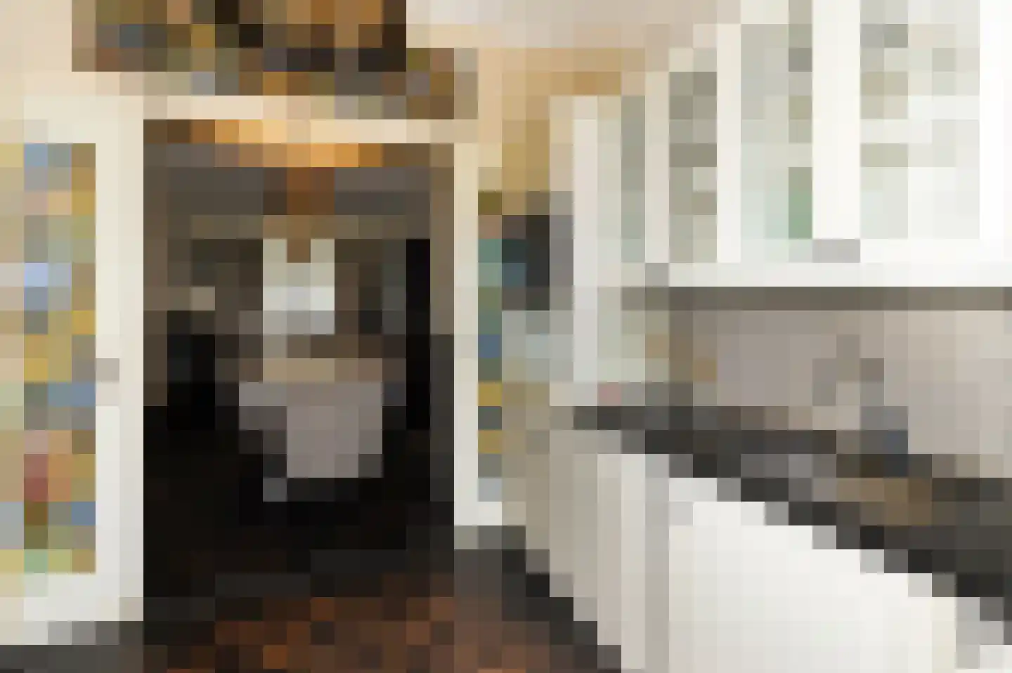 Dibbetsstraat 6 Den Haag thumbnail 23