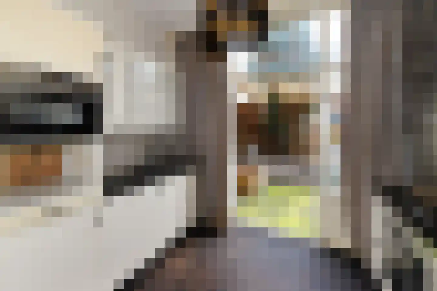 Dibbetsstraat 6 Den Haag thumbnail 24
