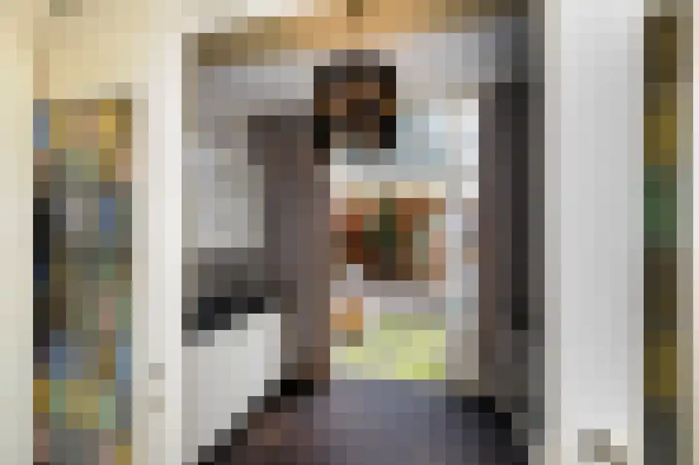 Dibbetsstraat 6 Den Haag thumbnail 25