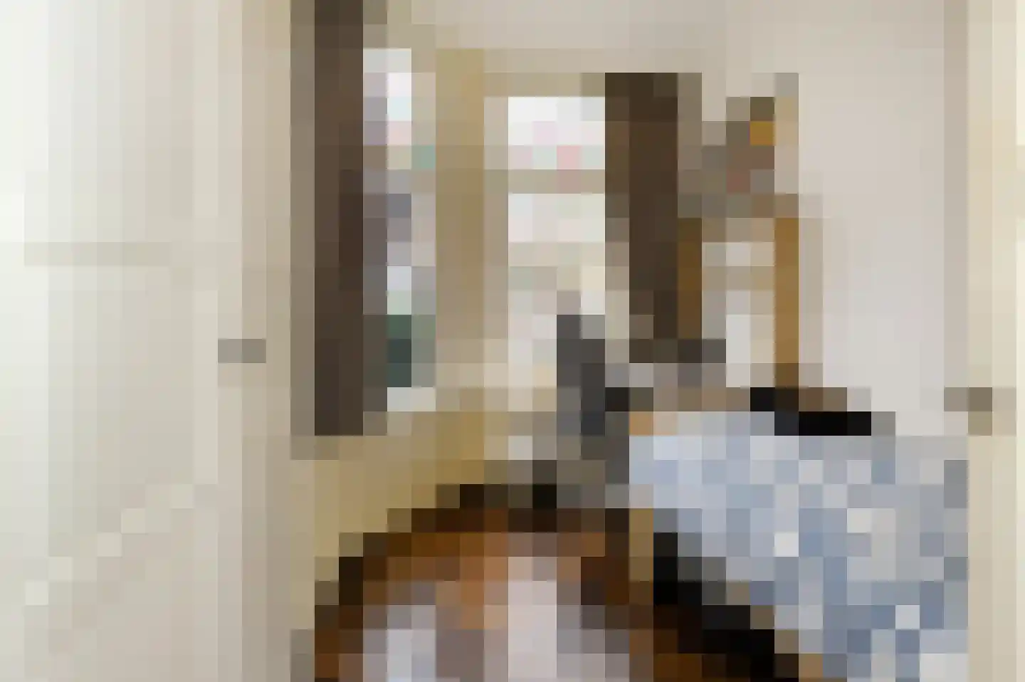 Dibbetsstraat 6 Den Haag thumbnail 33