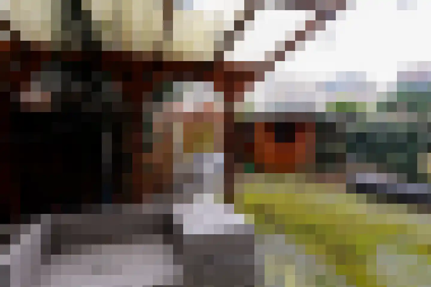 Dibbetsstraat 6 Den Haag thumbnail 37
