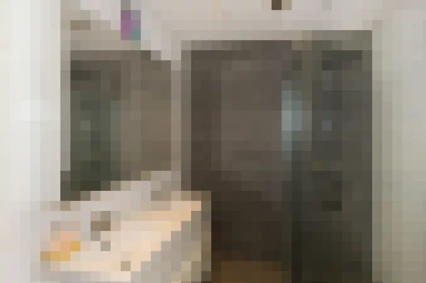 Dibbetsstraat 6 Den Haag thumbnail 5
