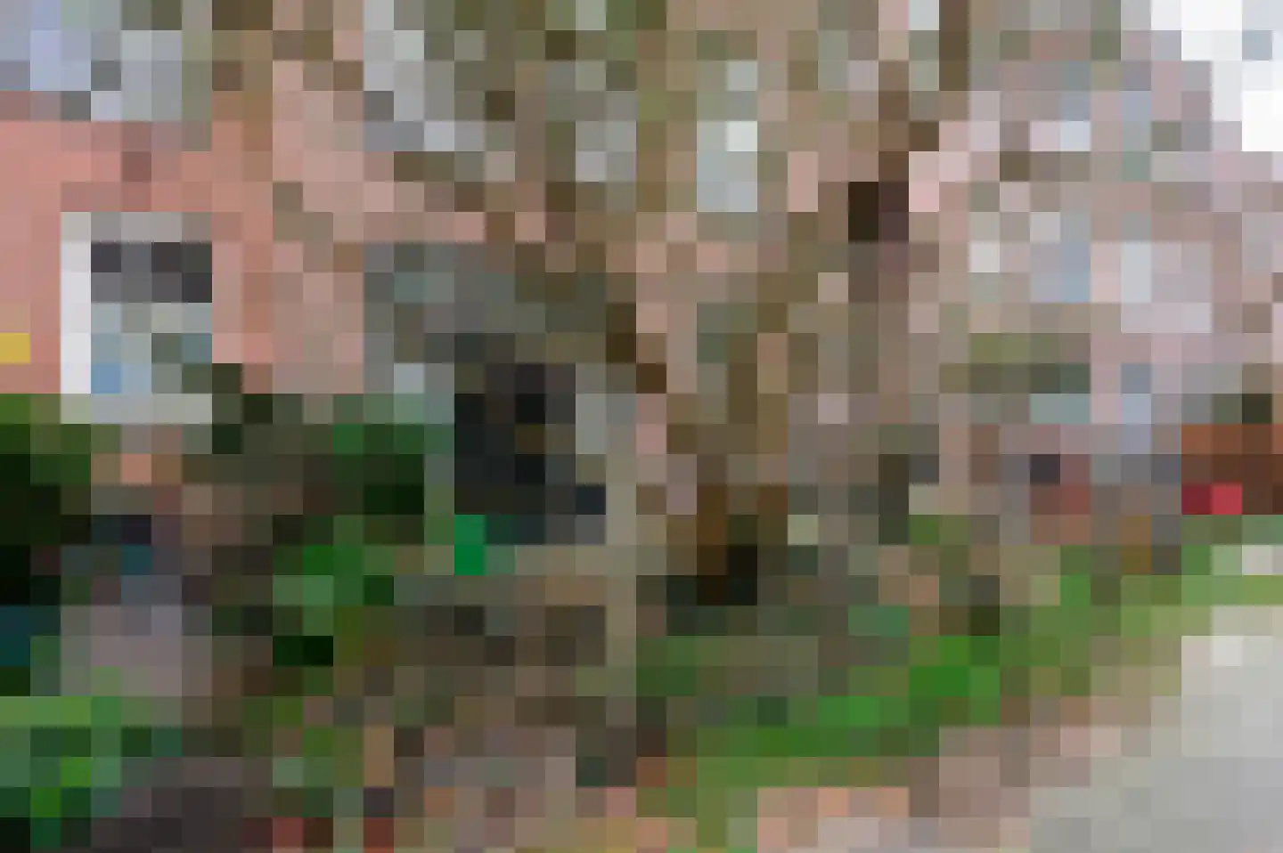 Dibbetsstraat 6 Den Haag thumbnail 7