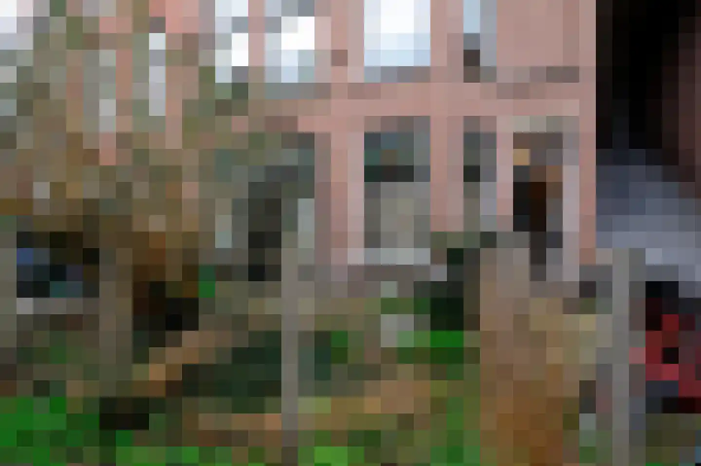 Dibbetsstraat 6 Den Haag thumbnail 8