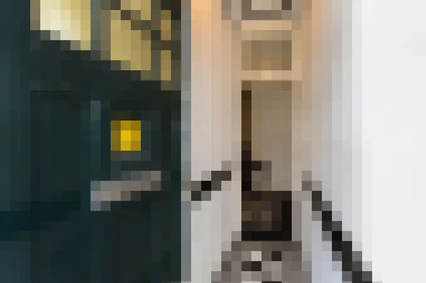 Dibbetsstraat 6 Den Haag thumbnail 9