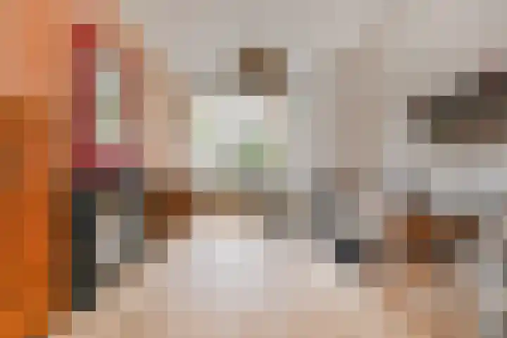 Dibbetsstraat 63 Den Haag thumbnail 33