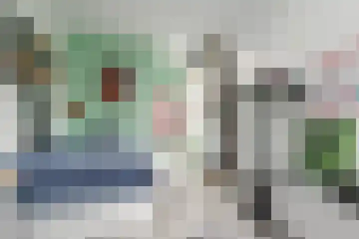 Dibbetsstraat 63 Den Haag thumbnail 44