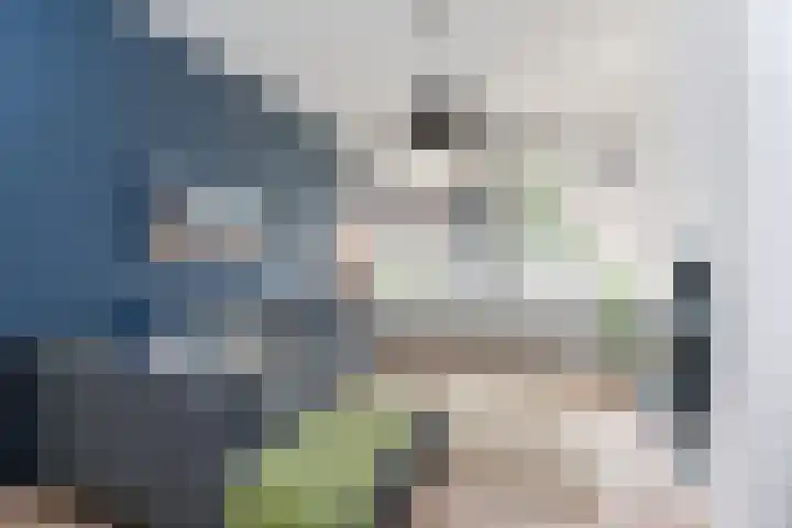 Dibbetsstraat 63 Den Haag thumbnail 5