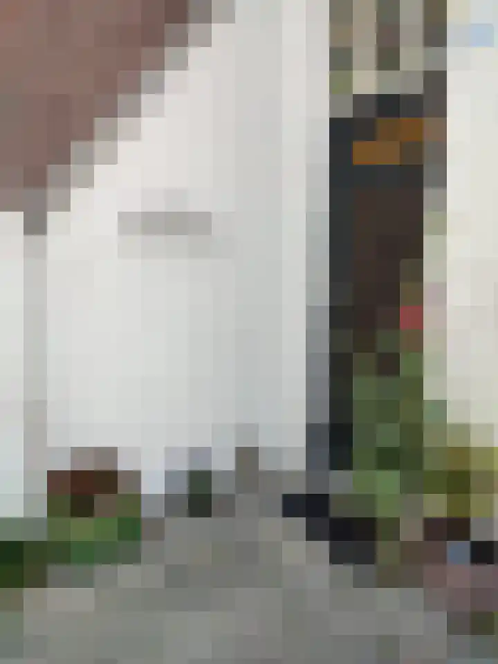 Dibbetsstraat 63 Den Haag thumbnail 59