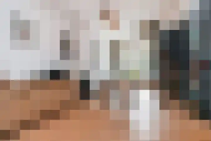 Dibbetsstraat 63 Den Haag thumbnail 9