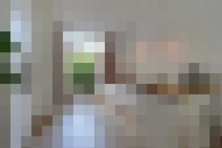 Dibbetsstraat 83 Den Haag thumbnail 18