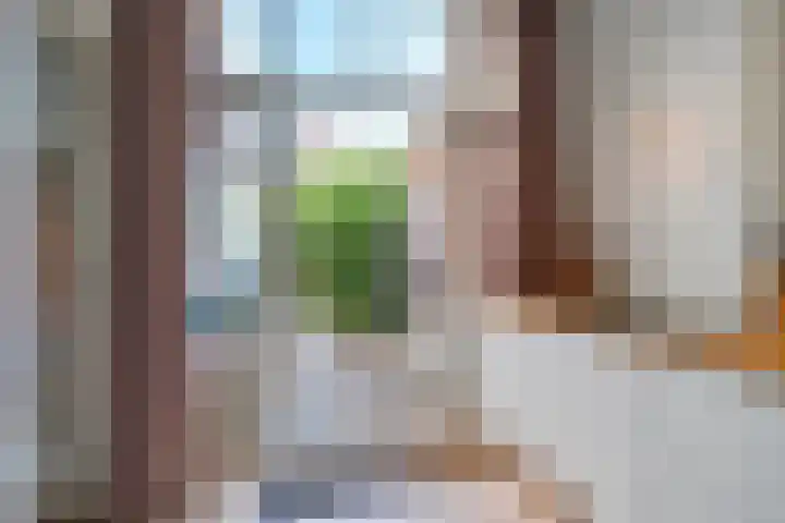 Dibbetsstraat 83 Den Haag thumbnail 21