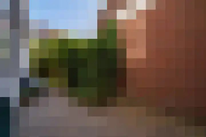 Dibbetsstraat 83 Den Haag thumbnail 22