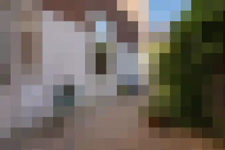 Dibbetsstraat 83 Den Haag thumbnail 23