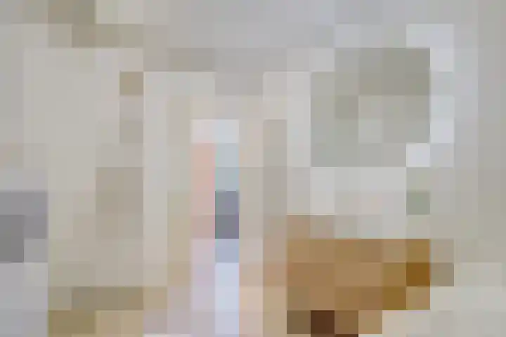 Dibbetsstraat 83 Den Haag thumbnail 34
