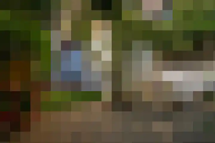 Dibbetsstraat 83 Den Haag thumbnail 4