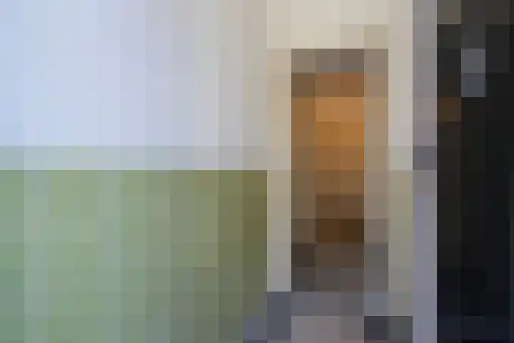 Dibbetsstraat 83 Den Haag thumbnail 6