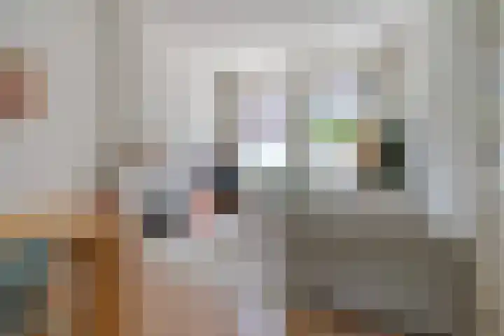Dibbetsstraat 83 Den Haag thumbnail 8