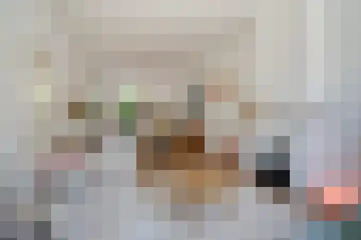 Dibbetsstraat 83 Den Haag thumbnail 9