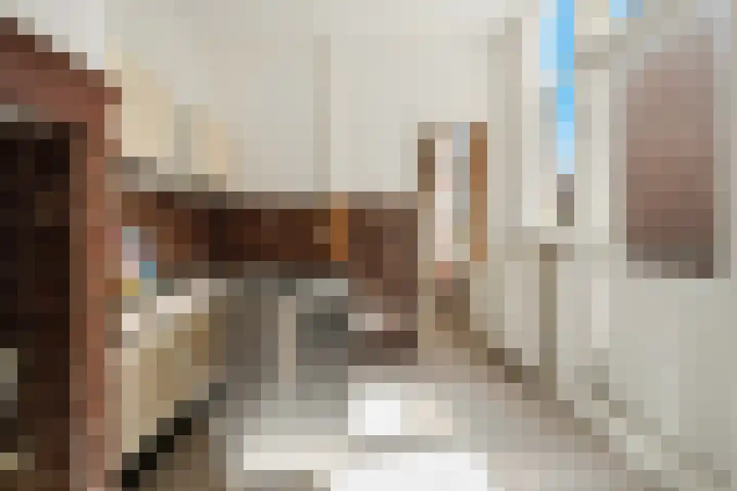 Dibbetsstraat 85 Den Haag thumbnail 12