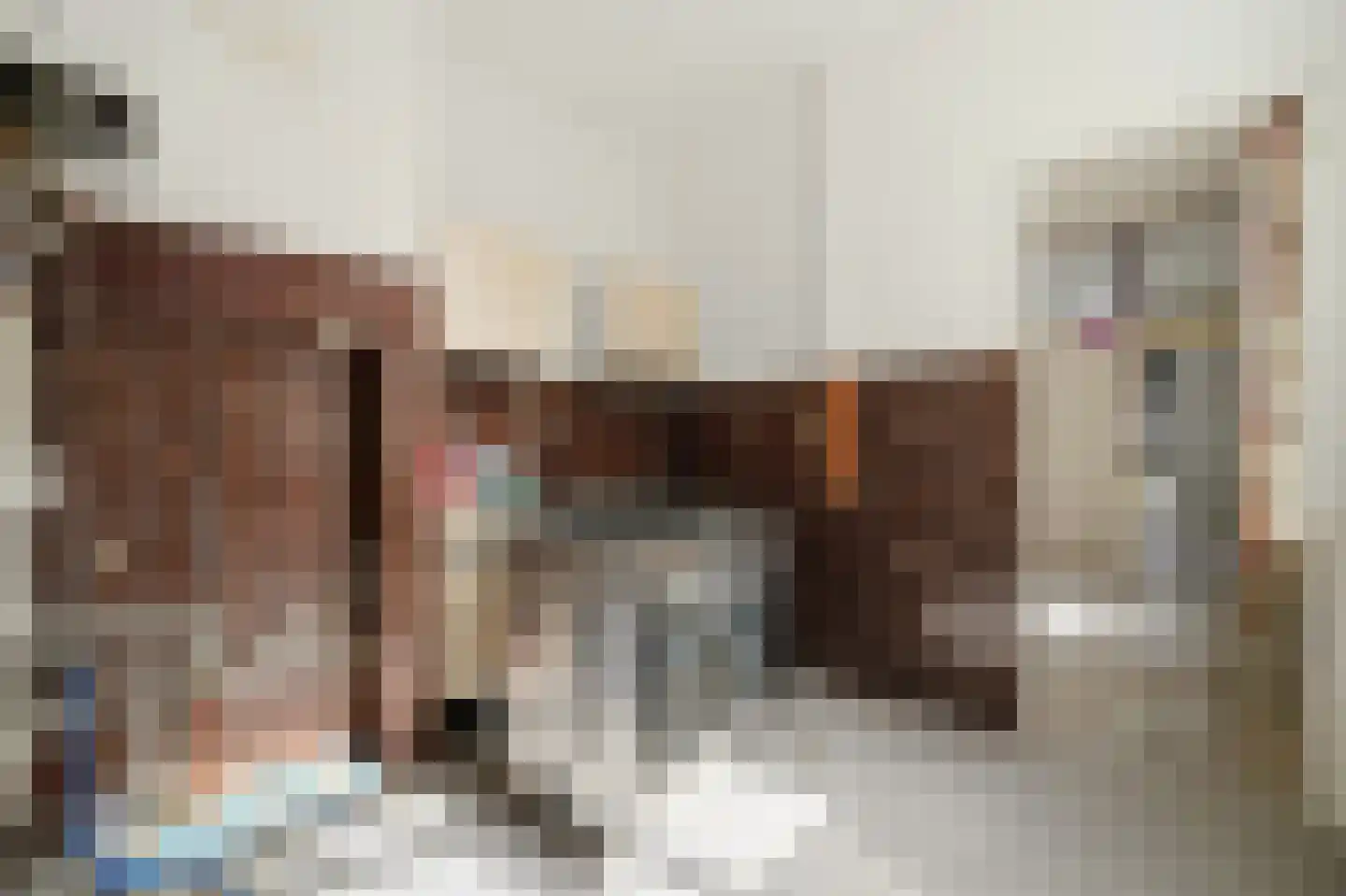 Dibbetsstraat 85 Den Haag thumbnail 18
