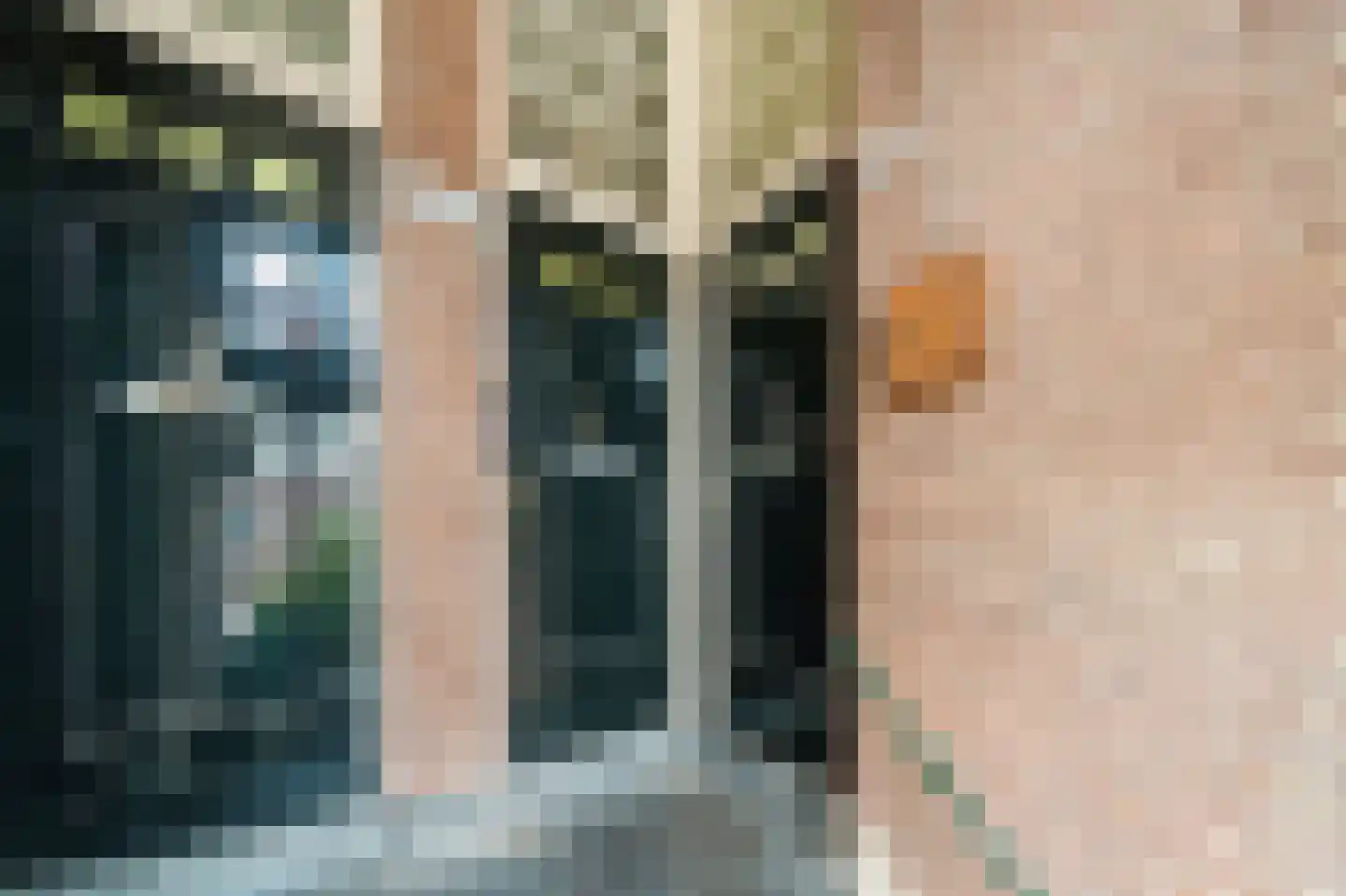 Dibbetsstraat 85 Den Haag thumbnail 23