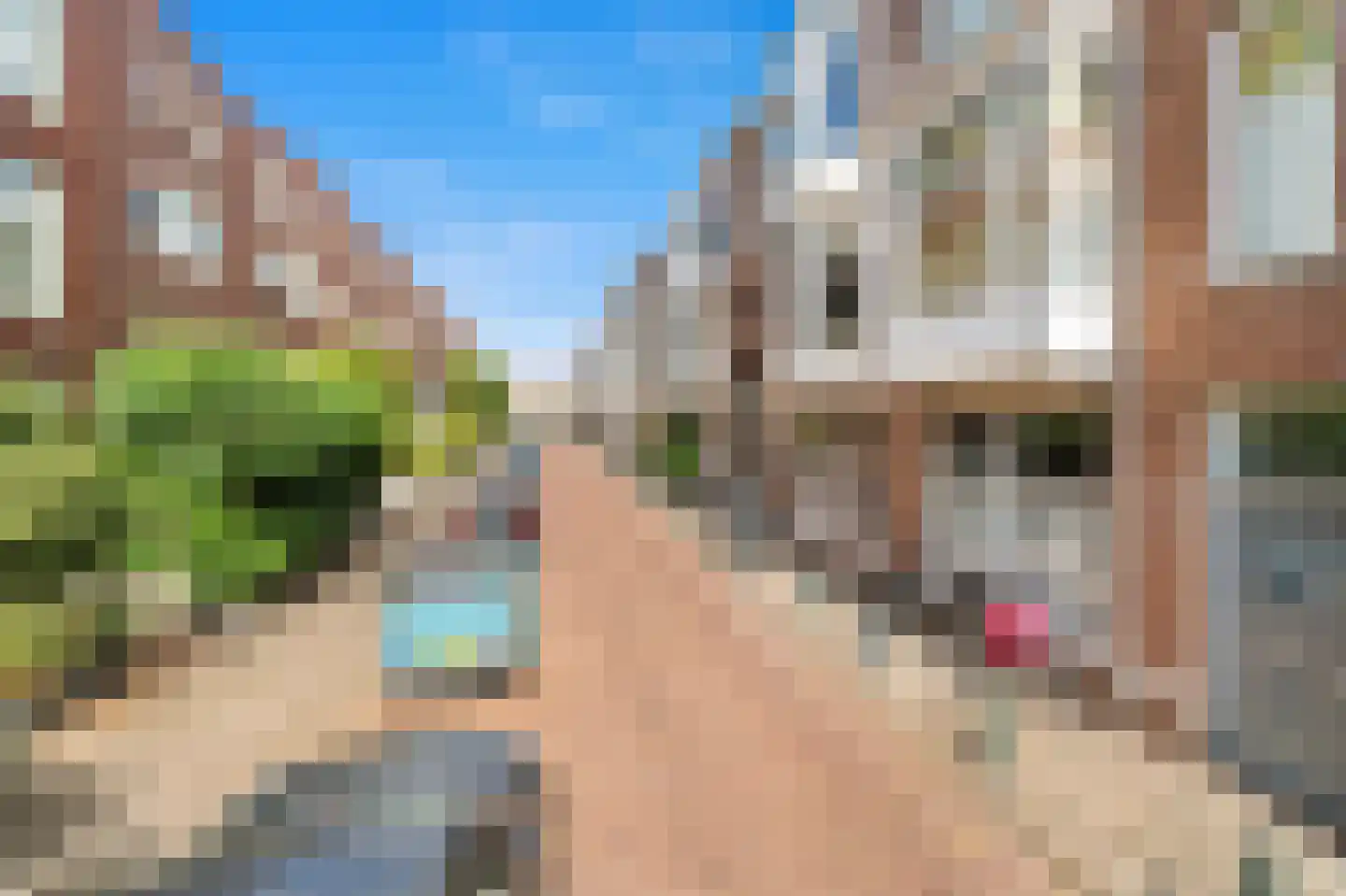 Dibbetsstraat 85 Den Haag thumbnail 25