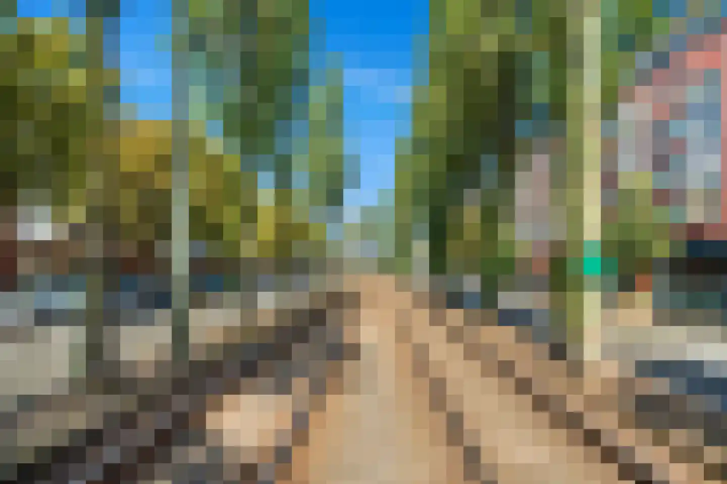 Dibbetsstraat 85 Den Haag thumbnail 30