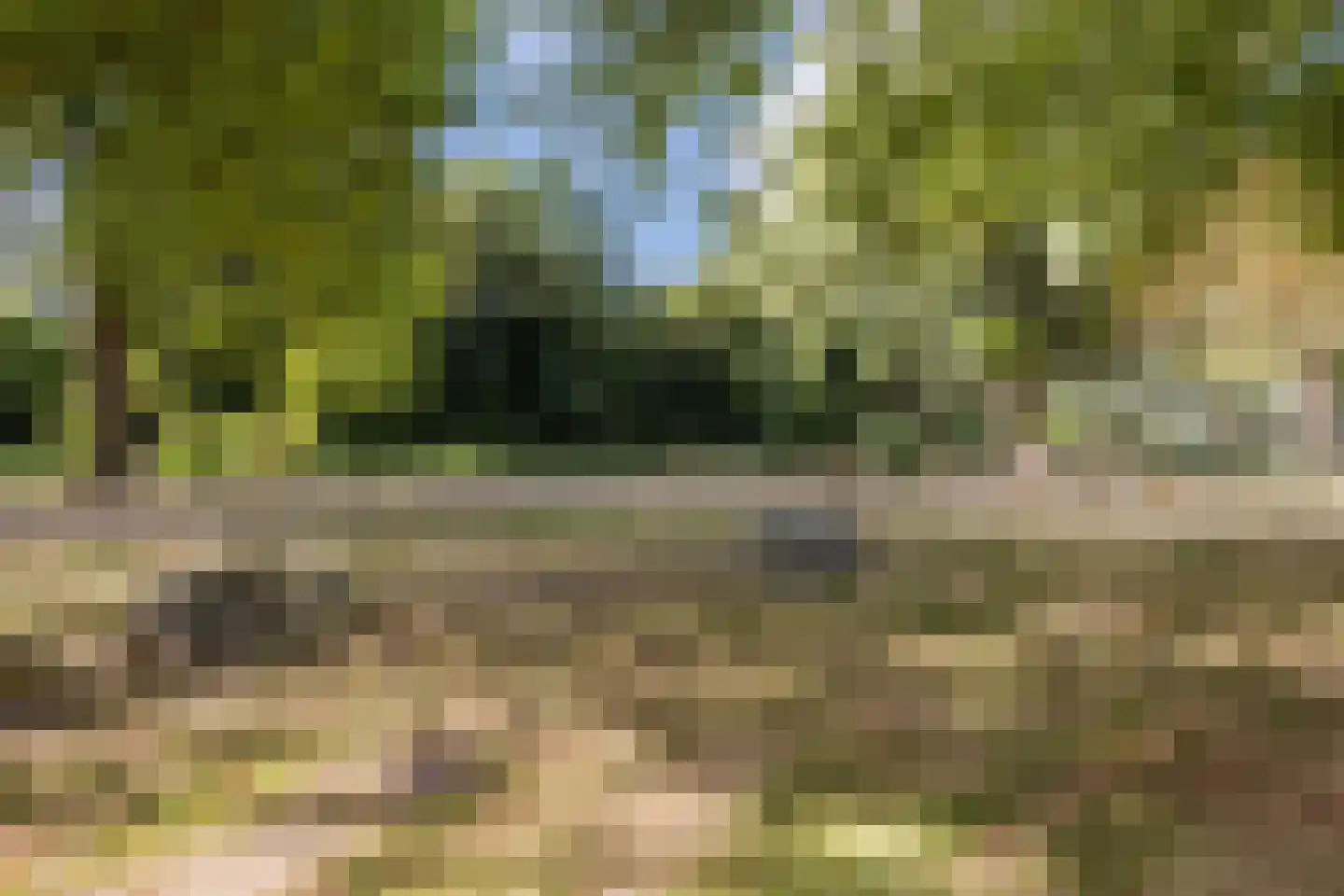 Dibbetzplantsoen 24 Hellevoetsluis thumbnail 41