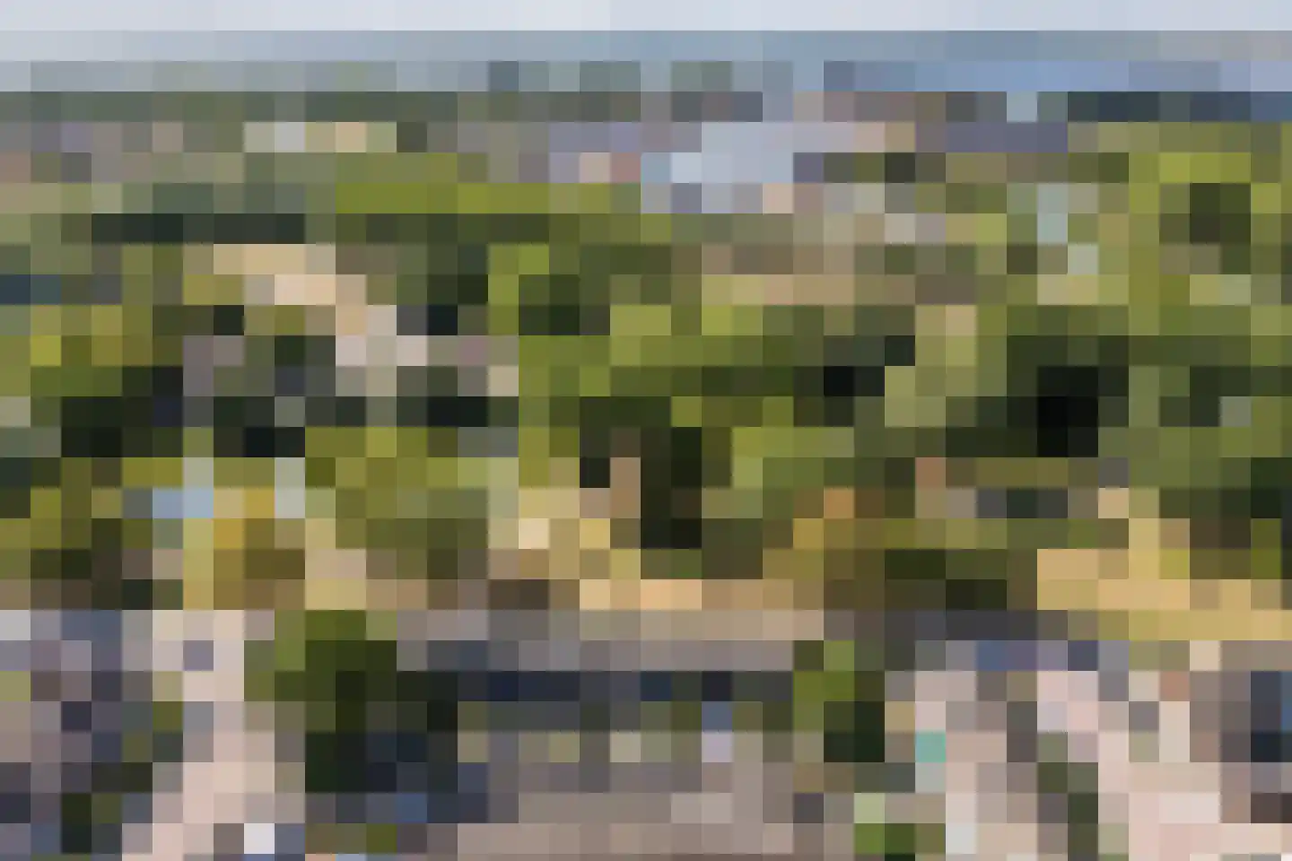 Dibbetzplantsoen 24 Hellevoetsluis thumbnail 43