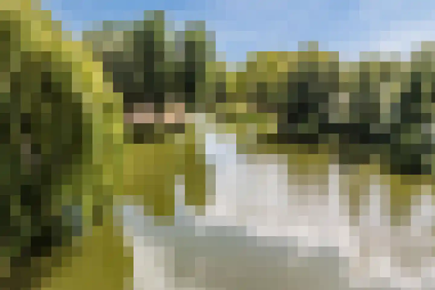 Dibbetzplantsoen 24 Hellevoetsluis thumbnail 45