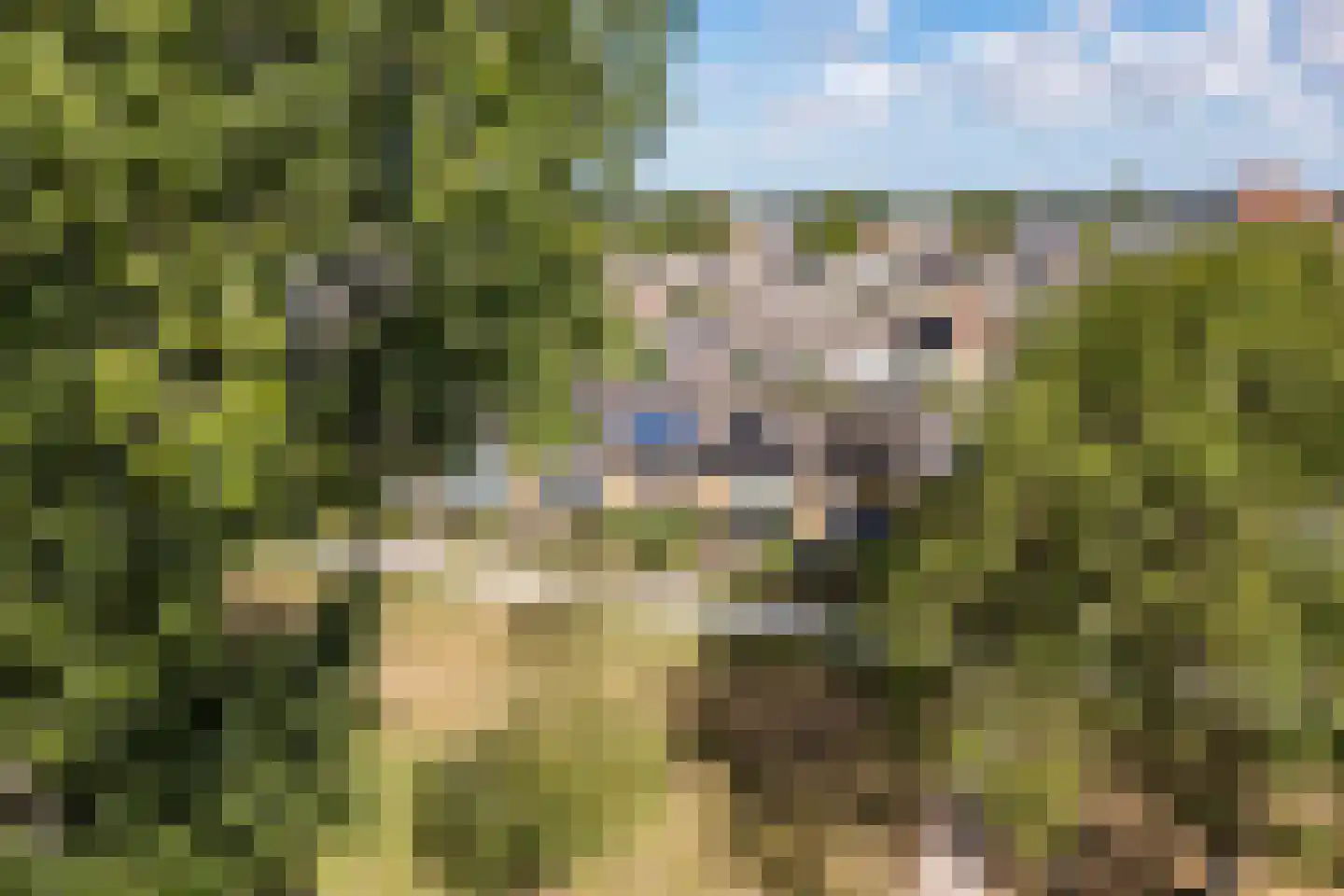 Dibbetzplantsoen 24 Hellevoetsluis thumbnail 47
