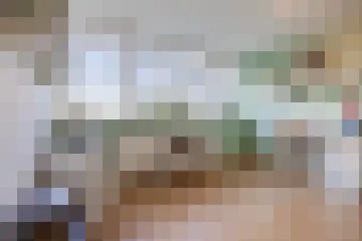 Dibbetzplantsoen 50 Hellevoetsluis thumbnail 18