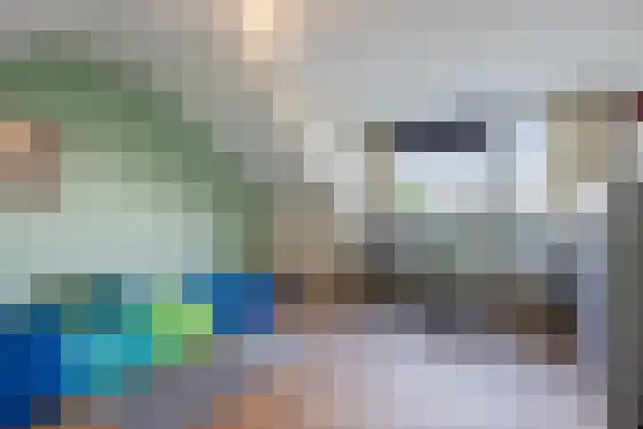 Dibbetzplantsoen 50 Hellevoetsluis thumbnail 25